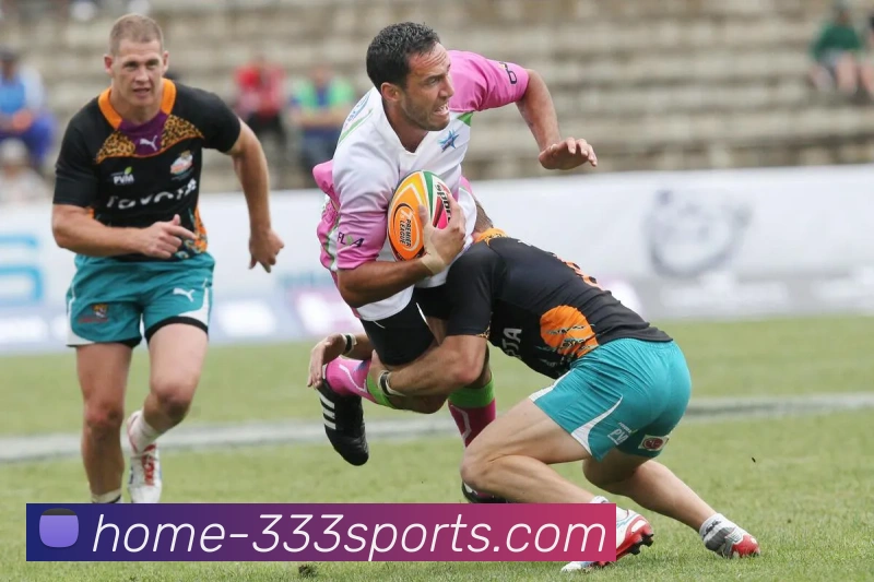 体育下注服务体系