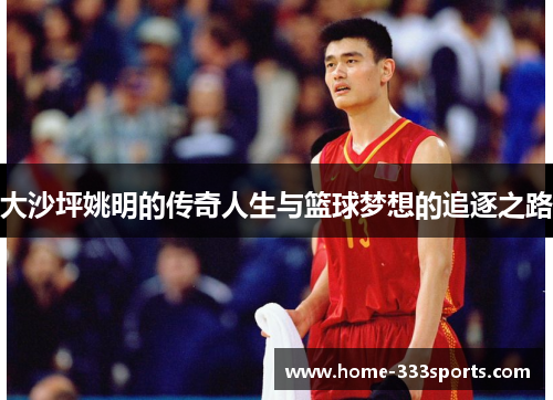 大沙坪姚明的传奇人生与篮球梦想的追逐之路